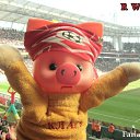 ���� ������, �������, 37 ��� - ��������� 13 ������� 2014 � ������ ������ ��������