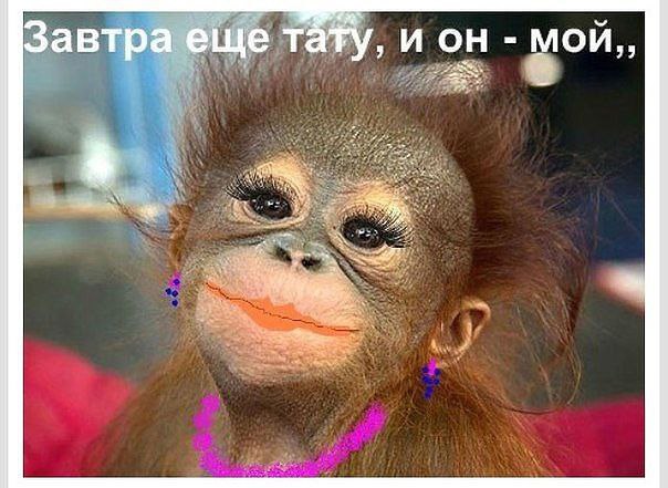     -      .))