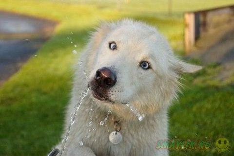 �� , ��� �� ��� ������ ����� !;)) ����