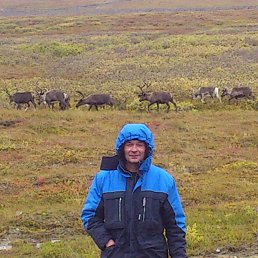 ���� Igor, ���, 60 ��� - ��������� 31 ������� 2014