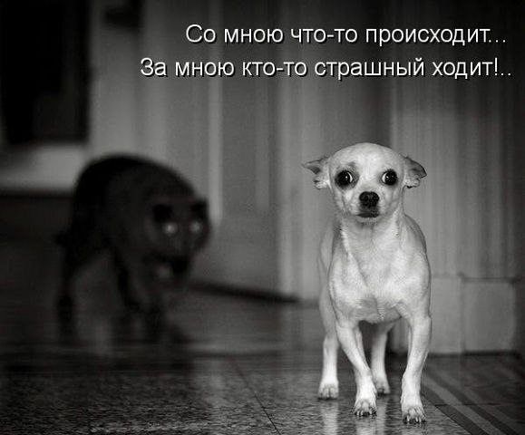     <a href=