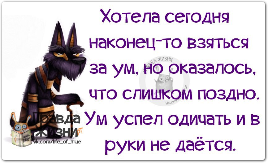 Взяться за ум. Хотела взяться за ум но оказалось слишком поздно. Хотел взяться за ум но оказалось. Хочется взяться за ум. Хотела взяться за ум картинки.