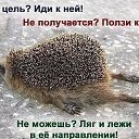 ���� ��������, �����-��������� - ��������� 1 ������� 2014 � ������ ������ ��������