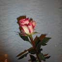 ���� �������, ������ - ��������� 13 ������� 2014 � ������ ������ ��������