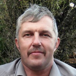 ������, �����, 65 ���