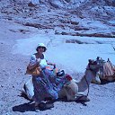 ������, ������ 2014. �������� �������� ���� ������. �� ������� ���� ����������