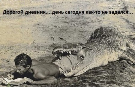 �������������� �� ���: <a href=