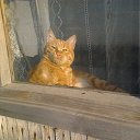 ���� �������, ���������� - ��������� 1 ������ 2014 � ������ ���� ����������