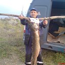 ���� ������, ������ - ��������� 23 ������� 2014 � ������ ���� ����������