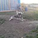 ���� ����, ��������, 56 ��� - ��������� 14 ������ 2014 � ������ ���� ����������