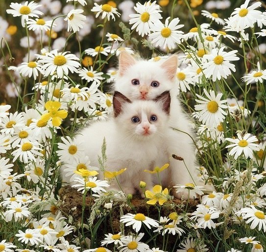       - 17  2014  05:01 - 3