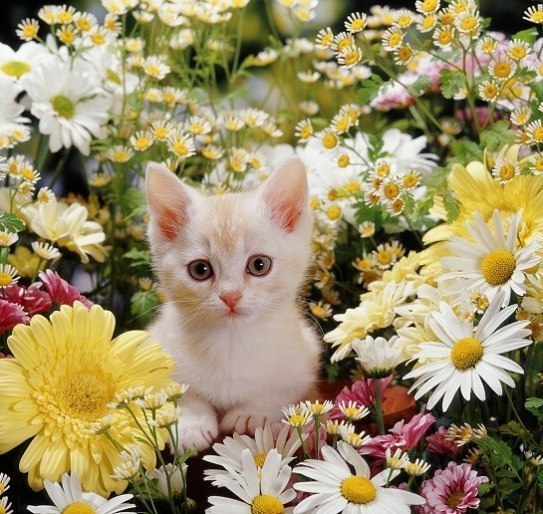       - 17  2014  05:01 - 4