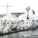 ���� Carcass, ������, 44 ���� - ��������� 11 ������� 2014 � ������ �violent frost�
