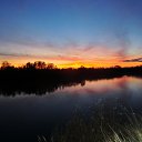  , , 60  -  28  2014     (    )