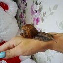 �� �������� ��������))))
��������... �� ������� ���� ����������