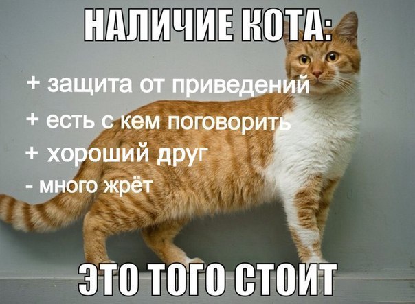       - 17  2014  10:04