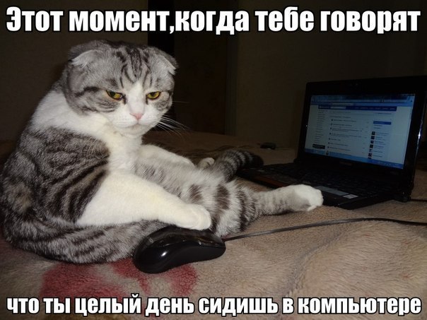 •{™      ™}• - 27  2014  15:56