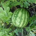 ���� �������, ������� - ��������� 2 �������� 2014 � ������ ������ ��������