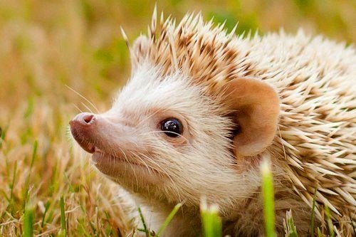   - 16  2014  14:47 - 2