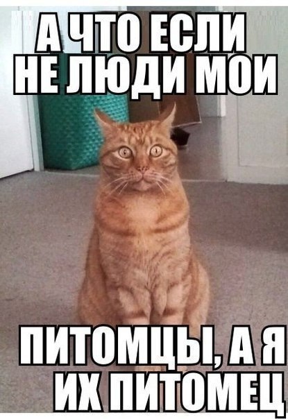       - 17  2014  02:32