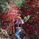  , , 46  -  22  2014    2014