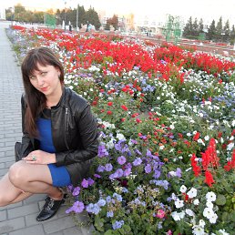 ���� ������, �����������, 41 ��� - ��������� 23 �������� 2014