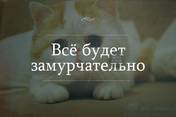       - 23  2014  19:06