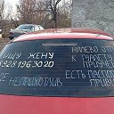 ���� ����, ������, 43 ���� - ��������� 8 ������� 2014 � ������ ���� ����������