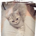 ���� Kati, ������ - ��������� 26 ������ 2014 � ������ ������ ��������