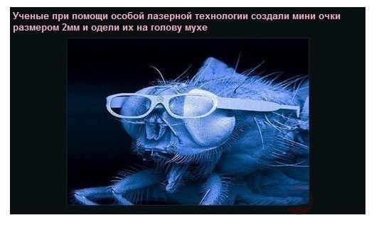      ?  ,     .