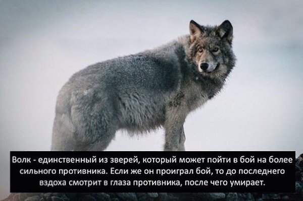 LIFE -  - 17  2014  21:54