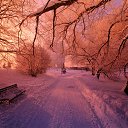 ���� Ll, ������ - ��������� 11 ������� 2014 � ������ ������ ��������