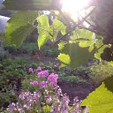  ,  -  26  2014        )))