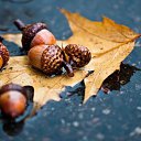 ������ ���������� ��� �� ������, ����� � ����� �����, ��� �����.... �� ������� ������ ��������