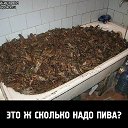 ���� �����, ������ - ��������� 12 ������� 2014 � ������ ���� ����������