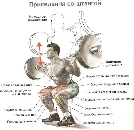    55. 55       ... - 2