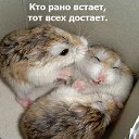 ���� ����, ������ - ��������� 22 ������� 2014 � ������ �������
