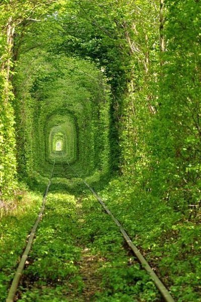 Подписывайтесь на нас: http://fotostrana.ru/public/233467 ;-) "Тоннель Любви", Клевань, ...