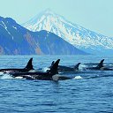 ���� Juriy, ����, 64 ���� - ��������� 9 ������� 2014 � ������ ���� ����������