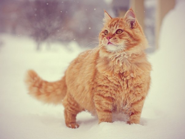       - 12  2014  23:02 - 6