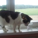 ���� �������, ������, 52 ���� - ��������� 14 �������� 2014 � ������ ���� ����������