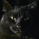 ��� �� ���������� � ���� ����� ��������, ��� ���������� �� ������� � �������! �� ������ ���� ��������� - �� ����. �� �� ����!!! �� ������� ���� ����������