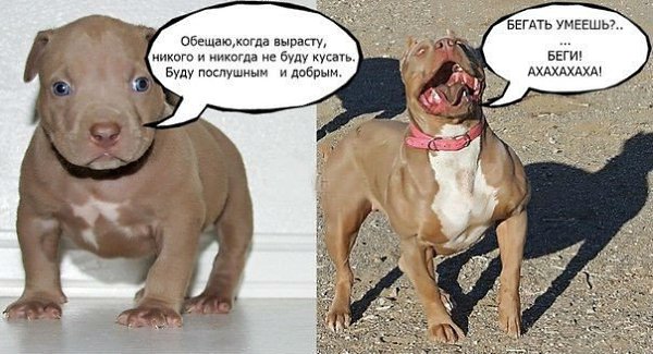    :D - 6  2014  18:20