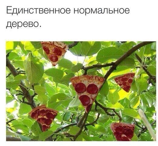 tumblr - 8  2014  00:03