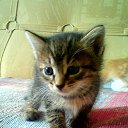 ���� ������, ������� ������, 64 ���� - ��������� 9 ������� 2014 � ������ ���� ����������