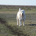 ���� ������, ������� - ��������� 8 ������ 2014 � ������ ������ ��������