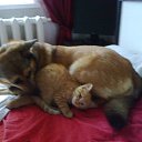 ���� �����, ��� - ��������� 5 ������� 2014 � ������ ������ ��������