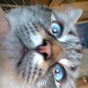 ���� �� ������� ���� ����������