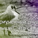  ,  -  29  2014    