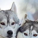 ���� �������, �����, 23 ���� - ��������� 5 ������ 2014